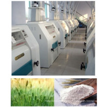 100-500 тонн пшеничной муки завод / мукомольный станок